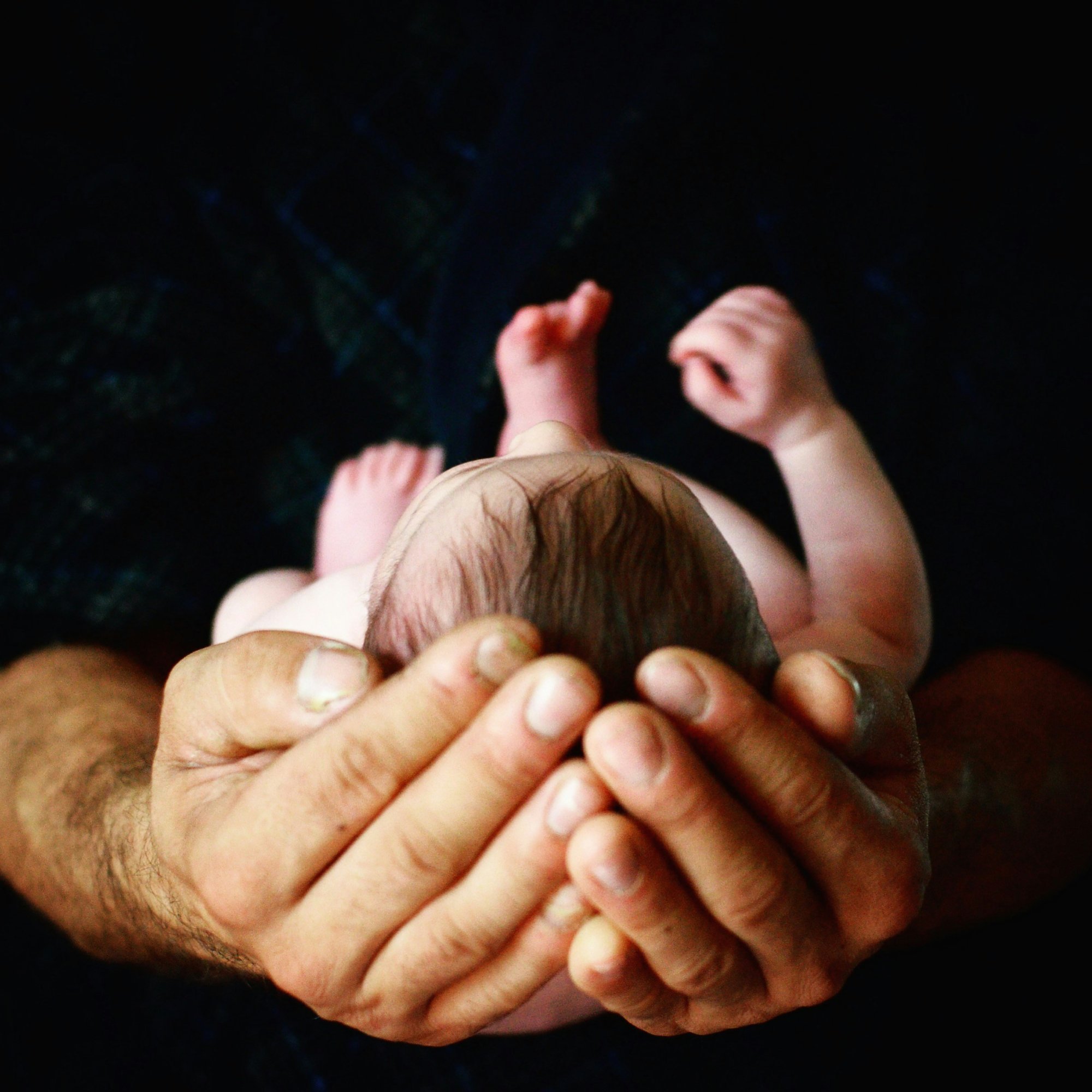 Newborn baby cradled in father's hands